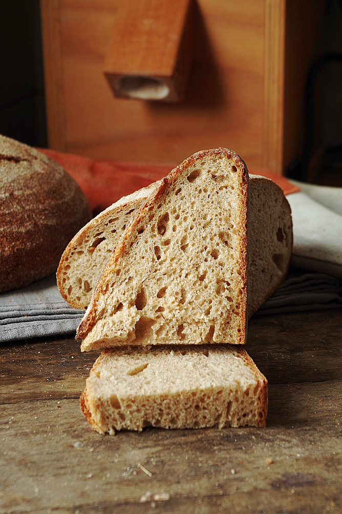 Beast de llevat i Biga de Sourdough