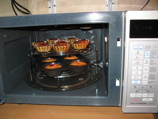 Mga oven ng microwave (talakayan ng mga modelo, mode, tampok)