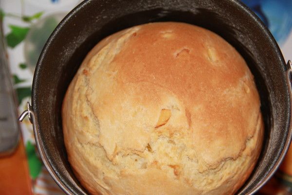 Cuocere nella macchina per il pane Bork