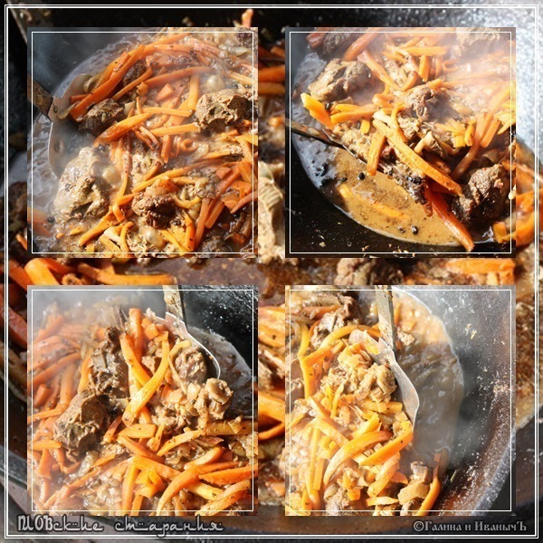 Mga pagsisikap ni Plov