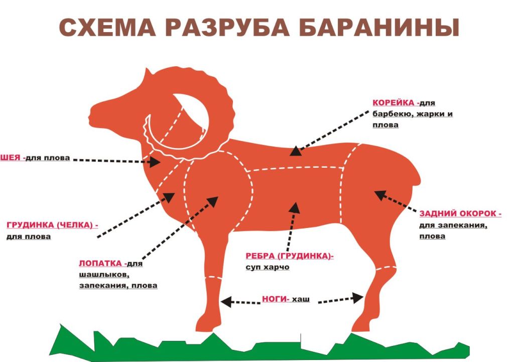 Useful information about meat, cooking