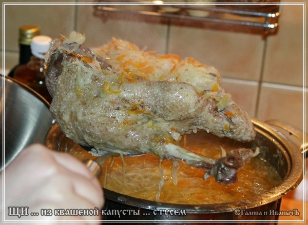 Sopa de col agria de chucrut con ganso