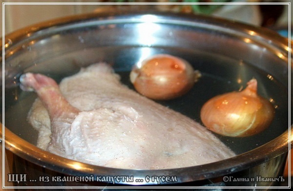 Sopa de col agria de chucrut con ganso