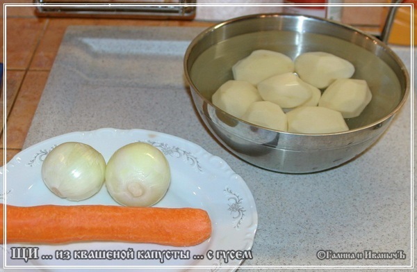 Sopa de col agria de chucrut con ganso