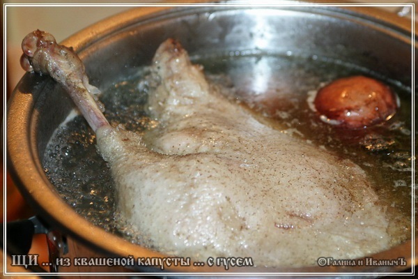 Sopa de col agria de chucrut con ganso