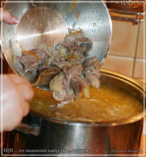 Sopa de col agria de chucrut con ganso