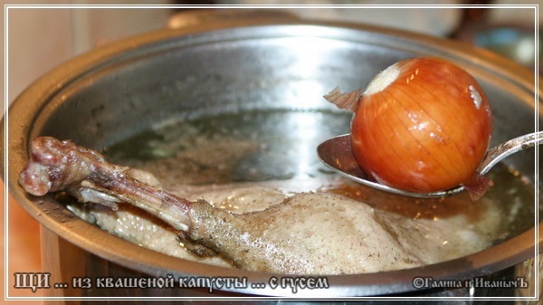 Sopa de col agria de chucrut con ganso