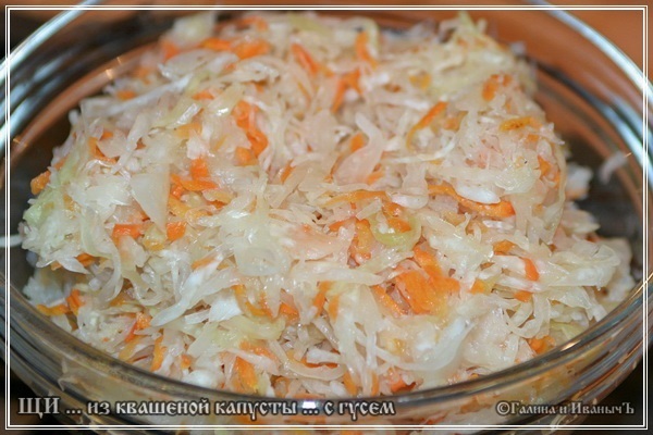 Sopa de col agria de chucrut con ganso