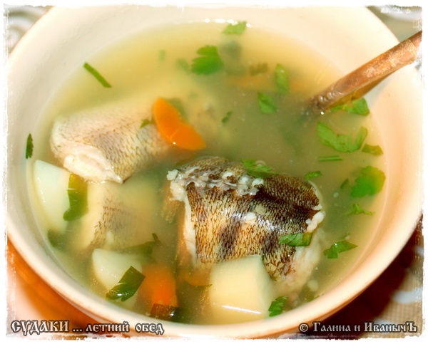 Almuerzo de lucioperca (publicación de verano)