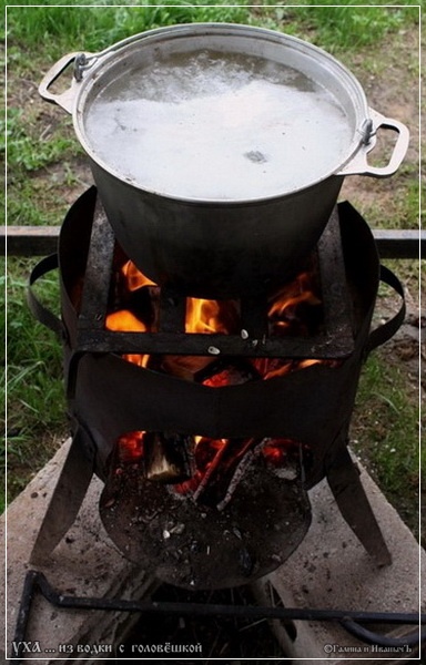 Orecchio di vodka con una testa (post estivo)