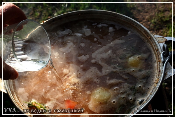 Orecchio di vodka con una testa (post estivo)