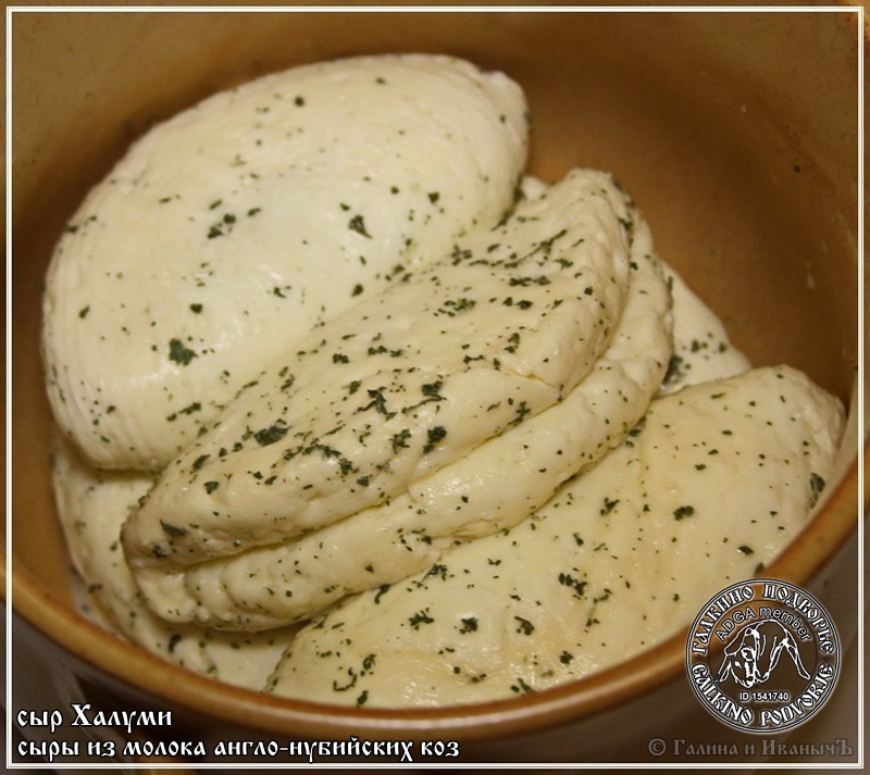 Formaggio Halloumi e Anari prodotto con latte di capra anglo-nubiano