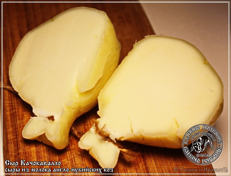 Cachocavallo cheese from Anglo-Nubian goat milk