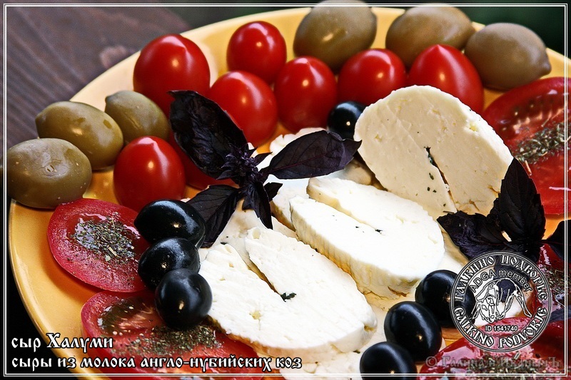 Formaggio Halloumi e Anari prodotto con latte di capra anglo-nubiano