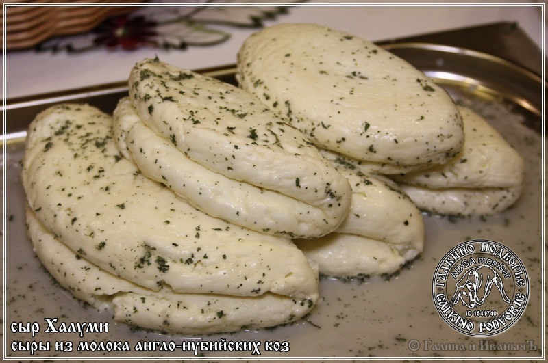 Formaggio Halloumi e Anari prodotto con latte di capra anglo-nubiano