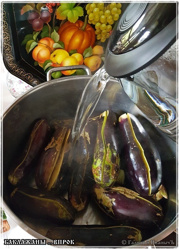 Aubergine voor toekomstig gebruik