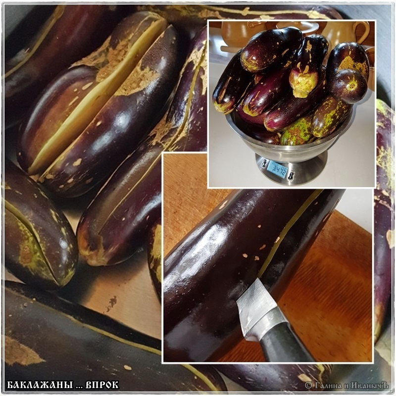 Aubergine voor toekomstig gebruik