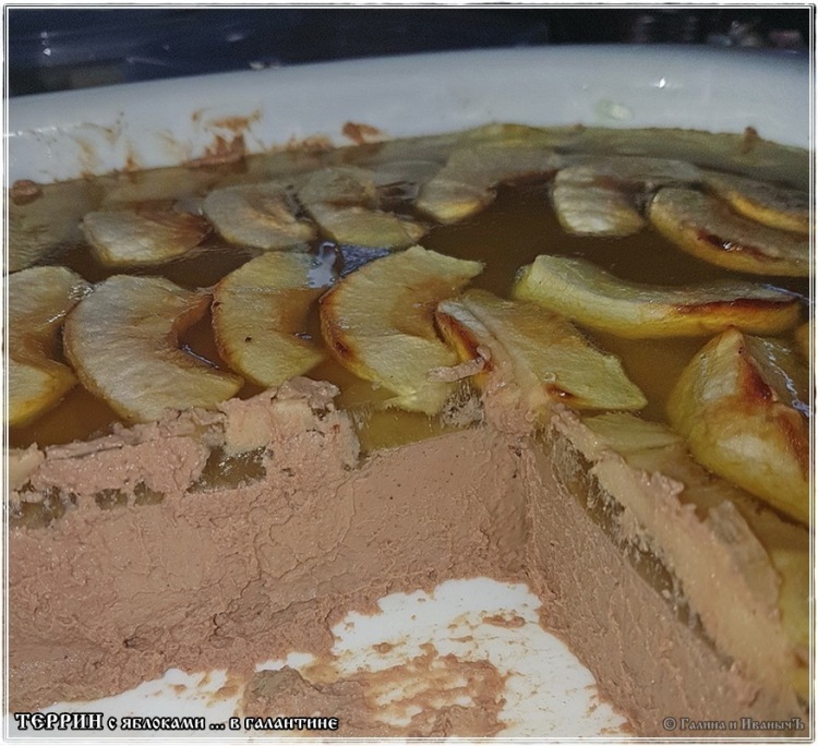 Terrina de pato con manzanas en galantina