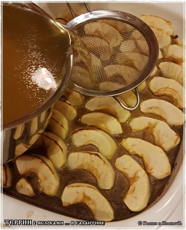 Duck terrine with apples in galantine