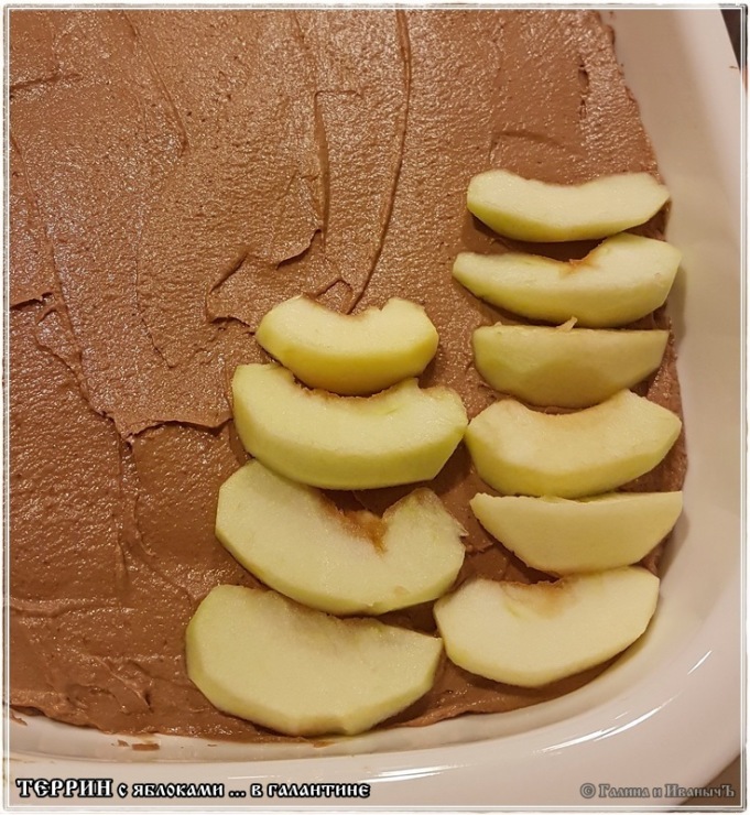 Duck terrine with apples in galantine