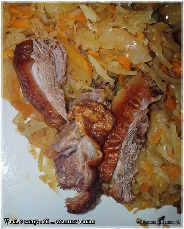 Duck solyanka with cabbage