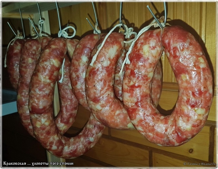 Salsiccia di Cracovia (ne vale la pena)