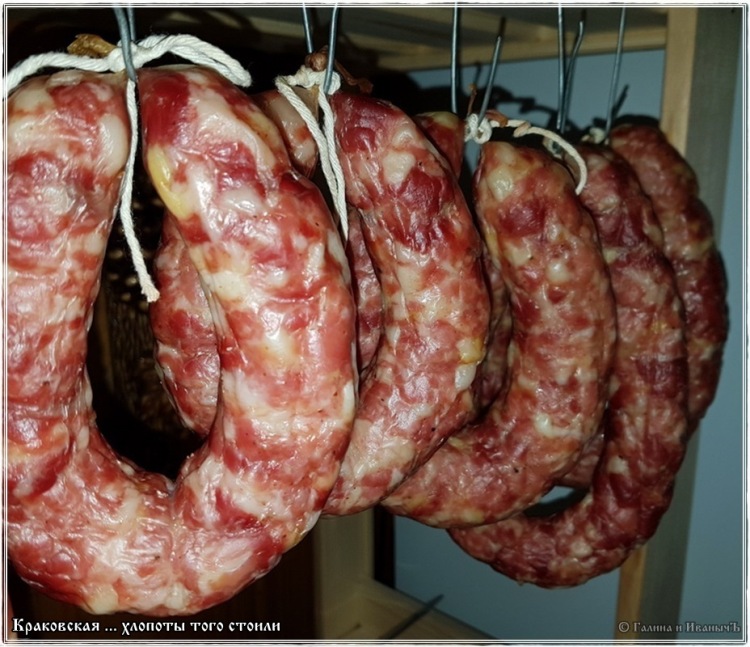 Salsiccia di Cracovia (ne vale la pena)