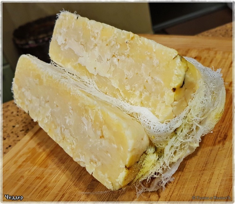 Cheddar al latte di capra