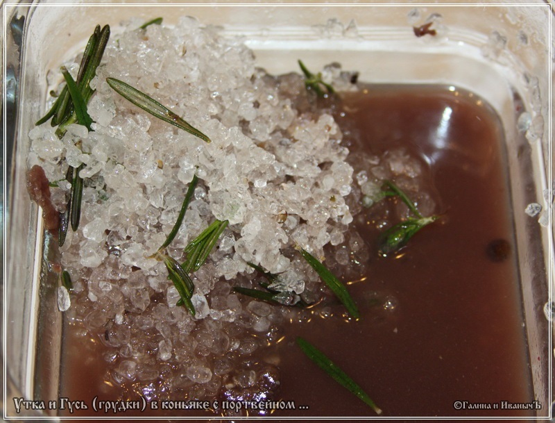 Anatra con oca al cognac al porto (tipo carpaccio)