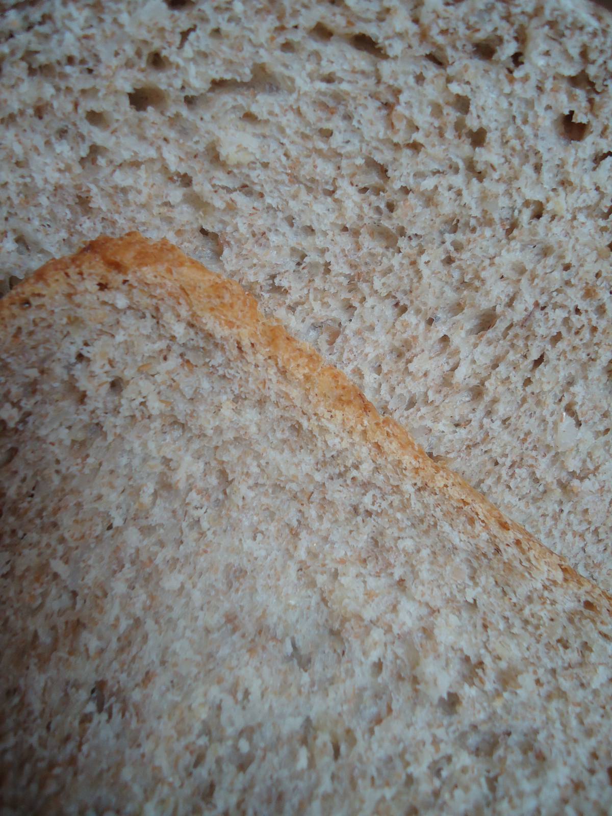 Scarlett SC-400. Wheat multigrain bran bread