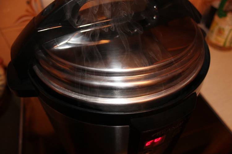 Electric smokehouse-pressure cooker Brand 6060