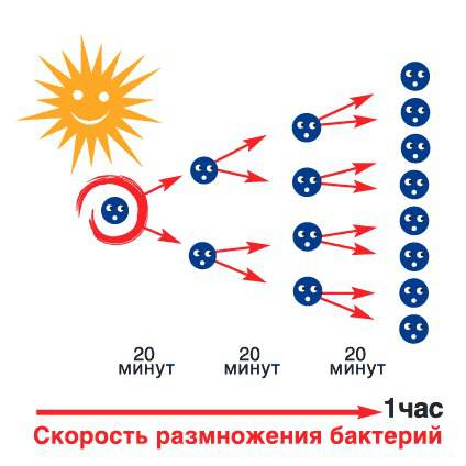 Chiedi a un esperto: tutto sui latticini fermentati fatti in casa