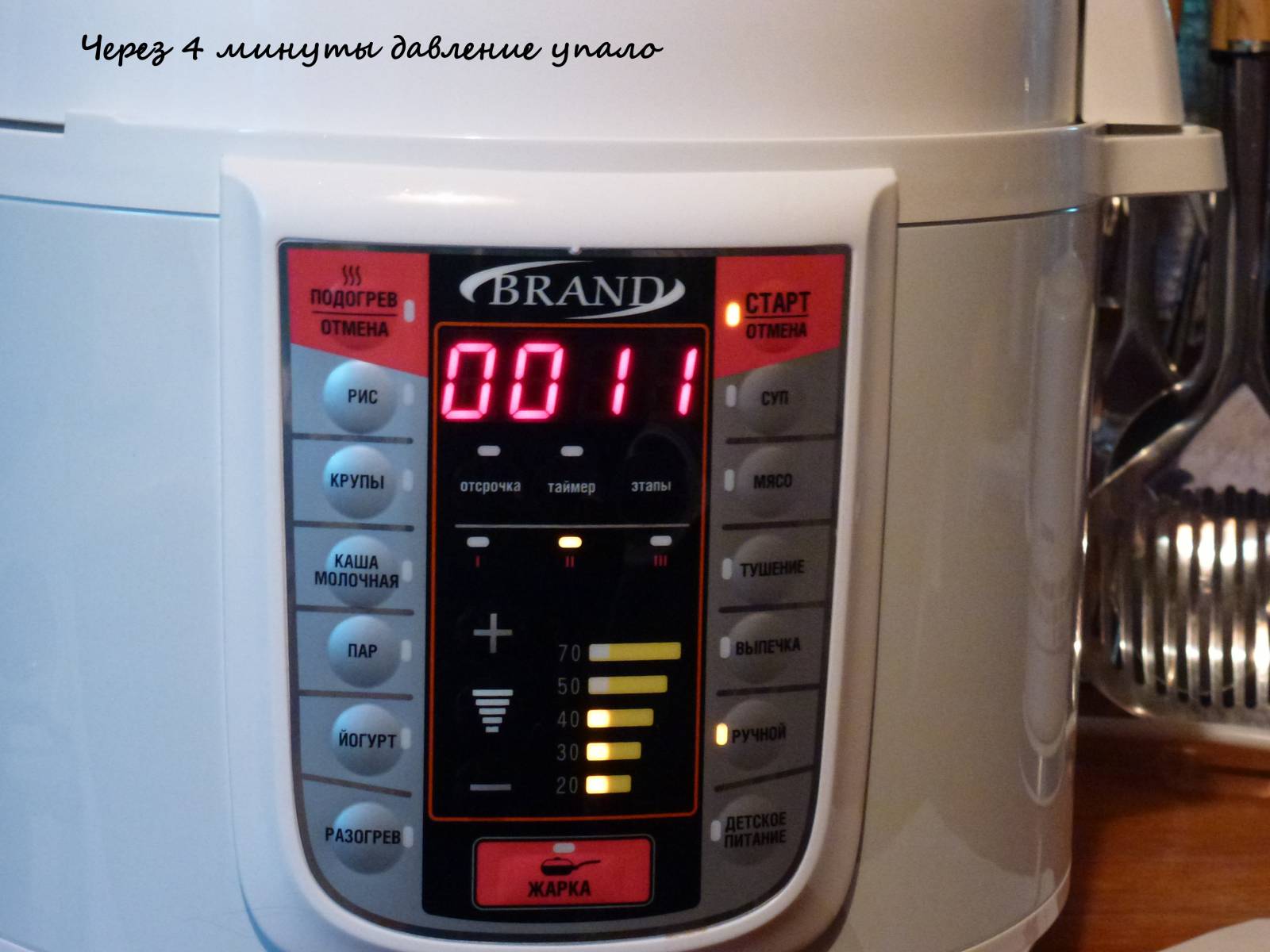 Testare la pentola a pressione multicooker Brand 6051