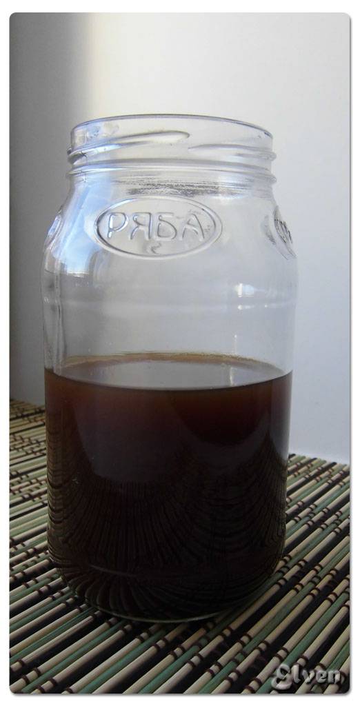 Masala Tea Concentrate (Home Chai Sirup)