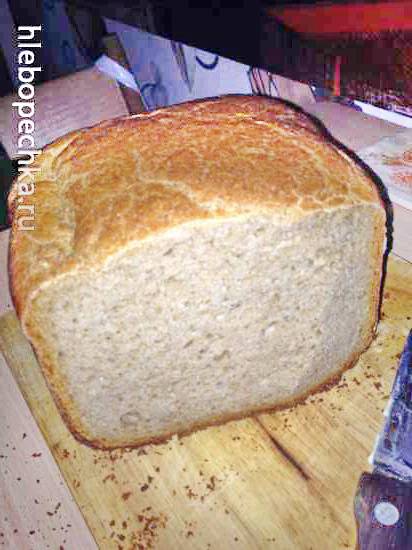 Pan de centeno y trigo fermentado