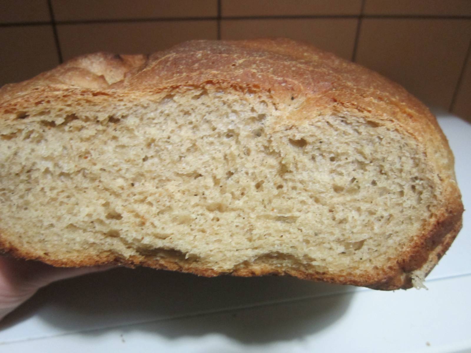 Pane di segale e grano per principianti (al forno)