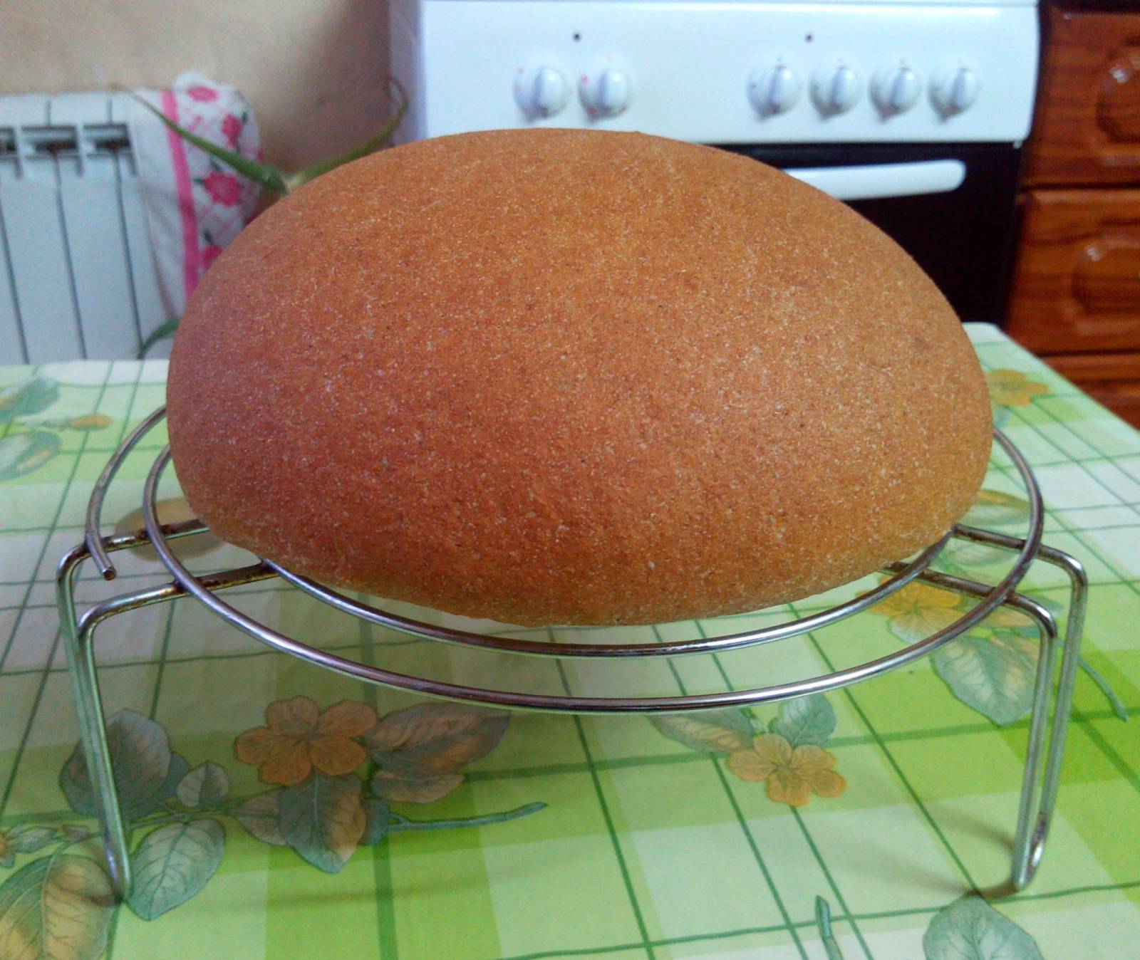 100% Whole Wheat Bread ni Richard Bertine