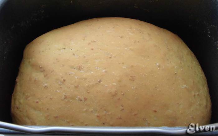 Pane Di Avena Di Zucca Di Frumento