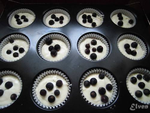 Muffins de crema agria con grosella negra