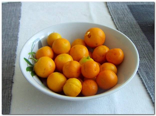 Melmelada de mandarina