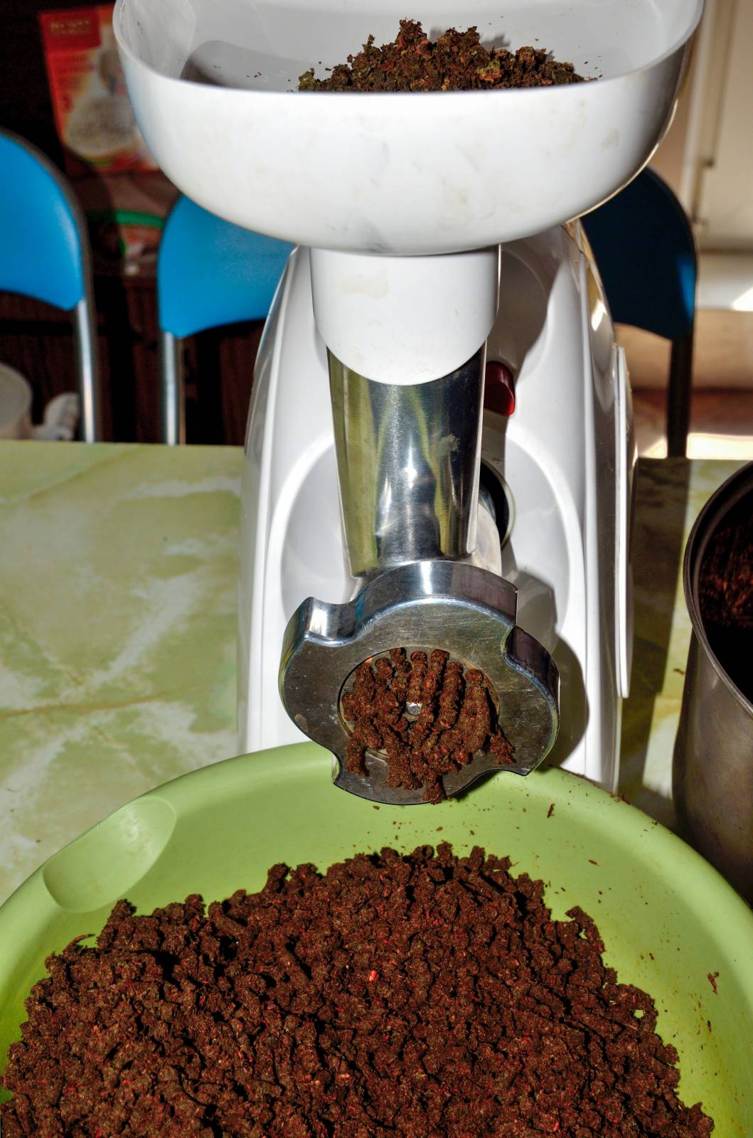 Té fermentado elaborado con hojas de jardín y plantas silvestres (clase magistral)