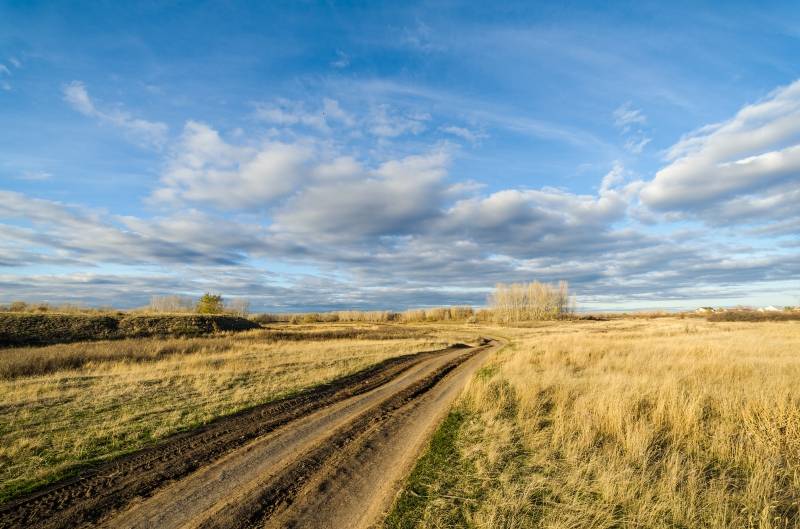 Fermentovaný čaj z listů zahrady a planě rostoucích rostlin (mistrovská třída)