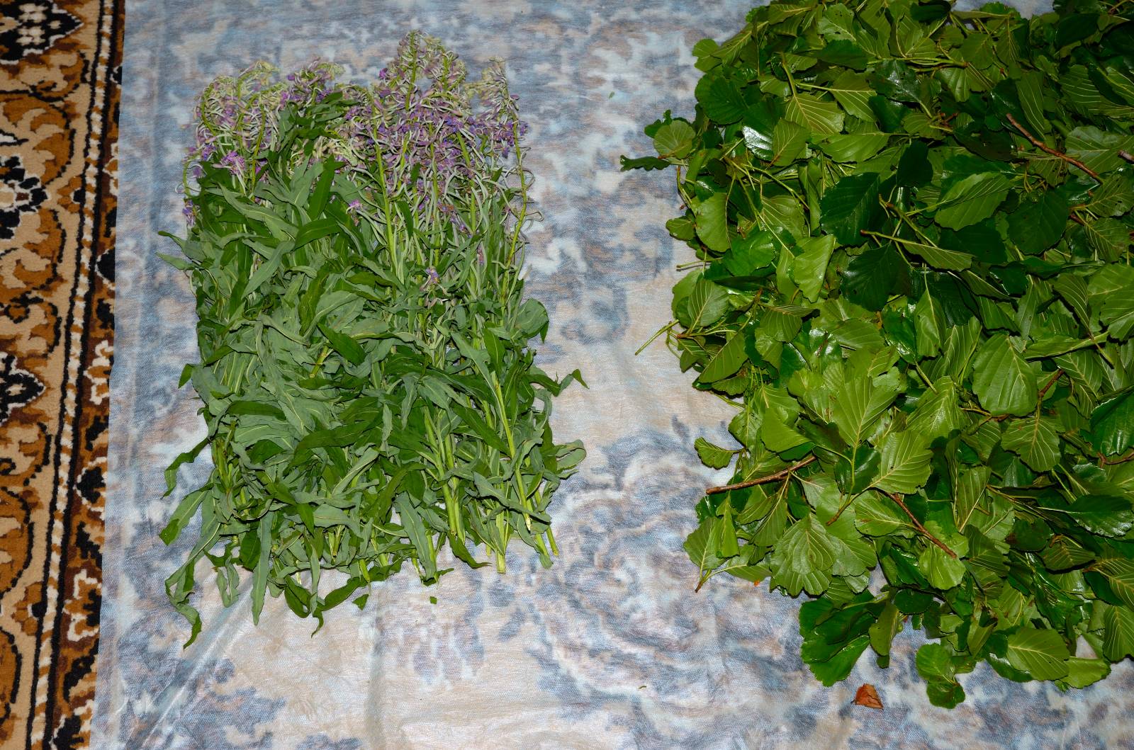 Té fermentado elaborado con hojas de jardín y plantas silvestres (clase magistral)