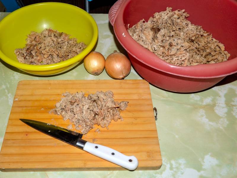 Caviar de hongos (paté) Arrecife de coral