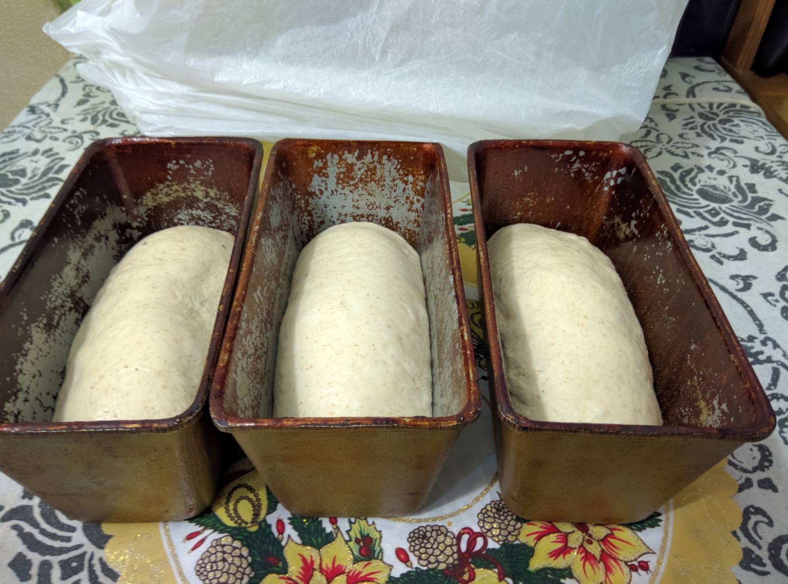 Levadura eterna, papa-lúpulo (Masa madre sin harina). Recetas de repostería.