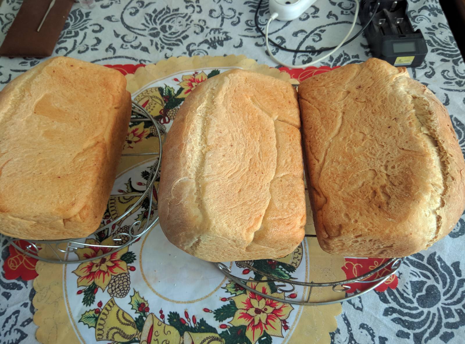 Eternal yeast, potato-hop (Sourdough without flour). Baking recipes.