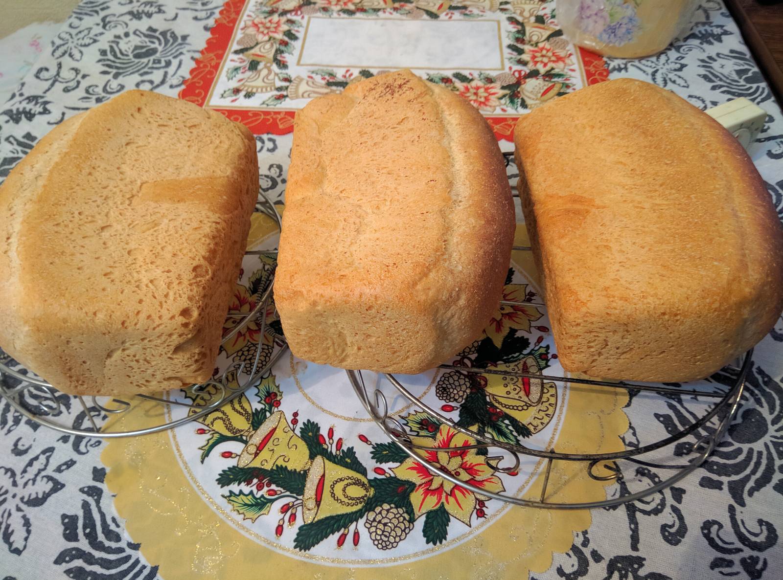 Levadura eterna, papa-lúpulo (Masa madre sin harina). Recetas de repostería.