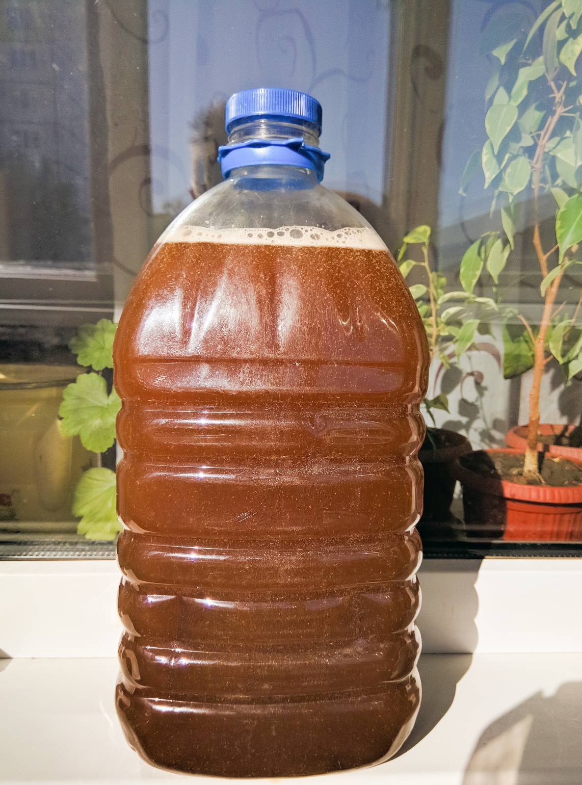 Kvass เหมือนจากถังเก็บ (kvass ด่วน)