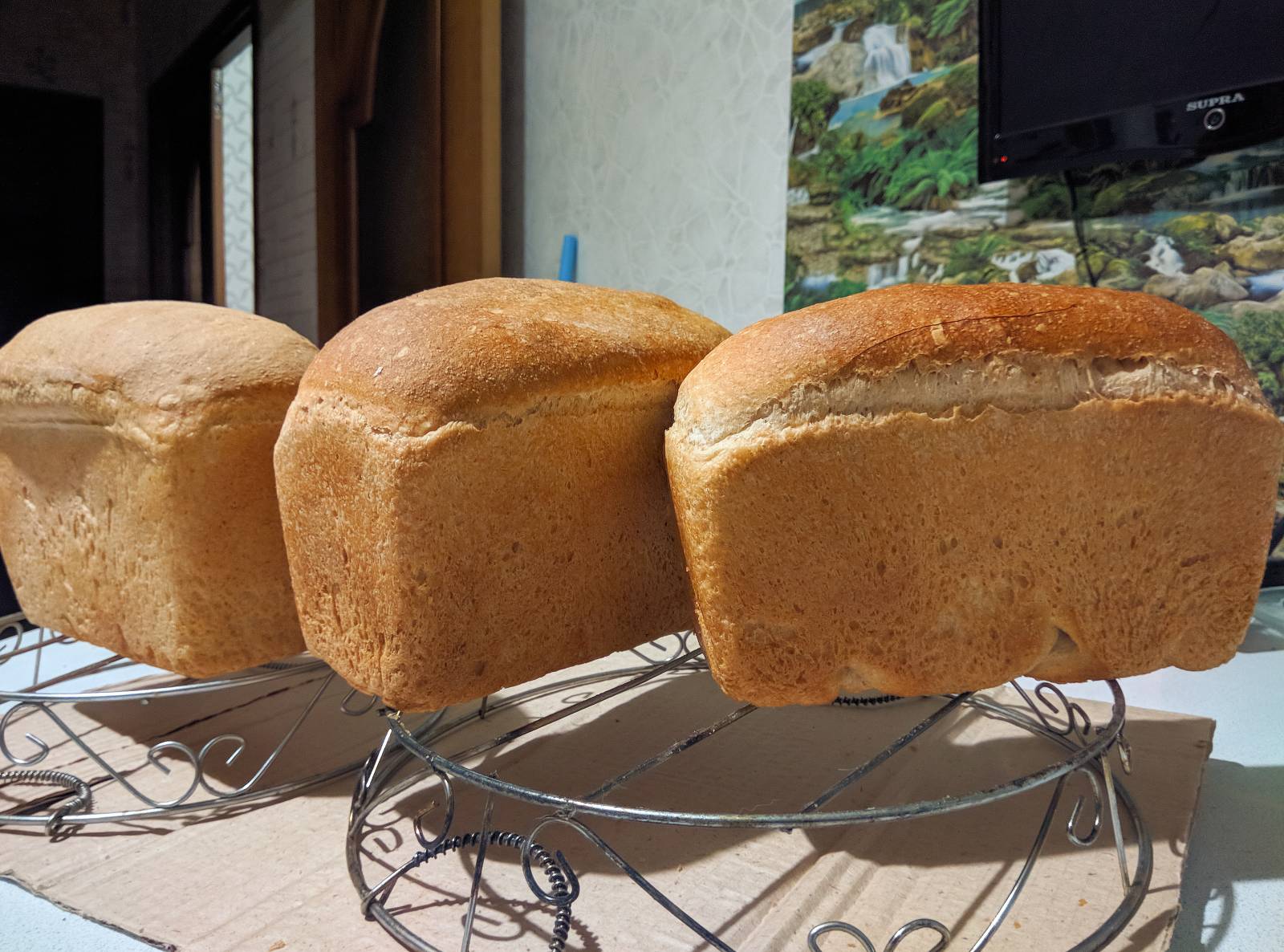 Levadura eterna, papa-lúpulo (Masa madre sin harina). Recetas de repostería.