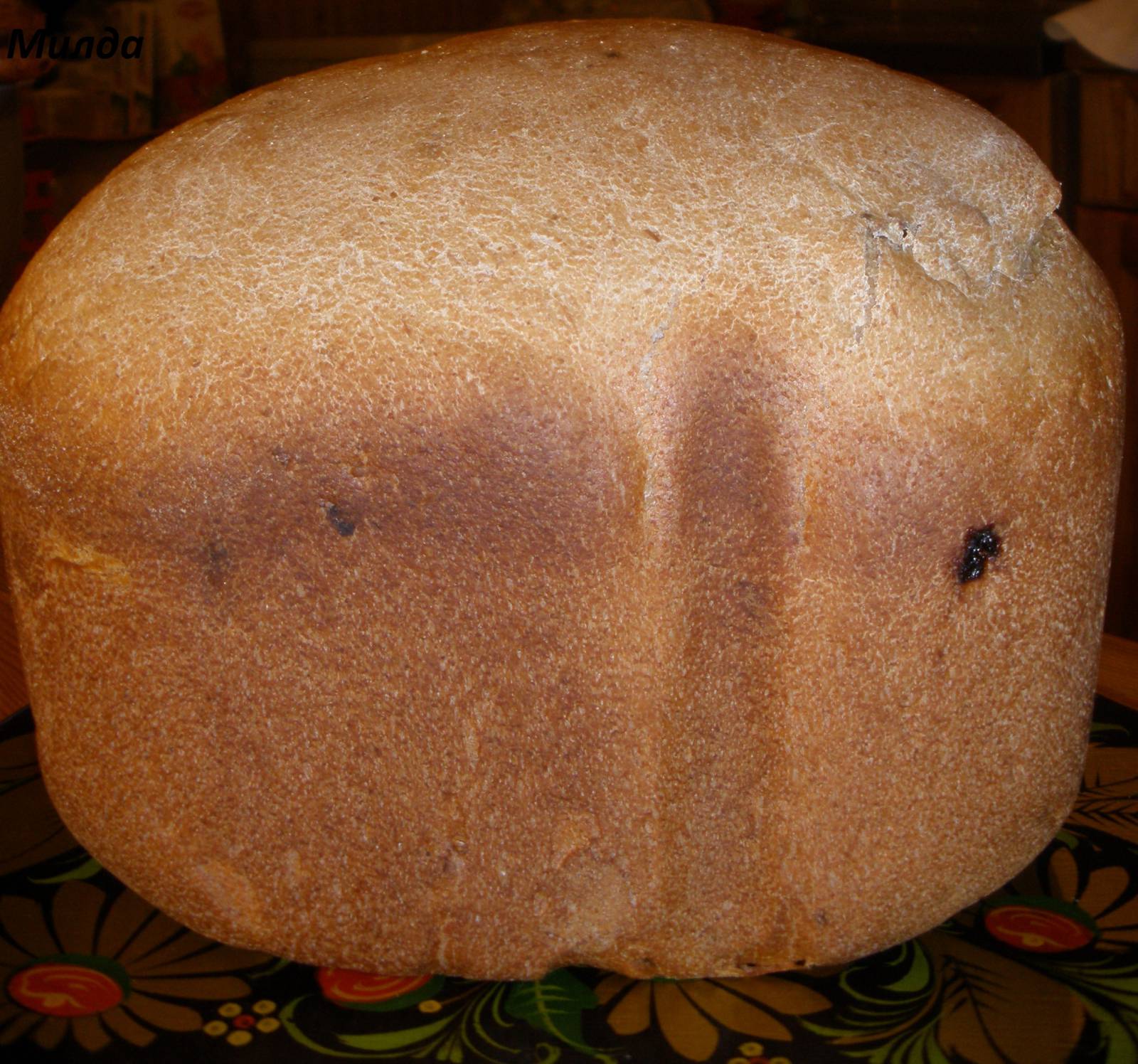 Pane alla birra nera (macchina per il pane)